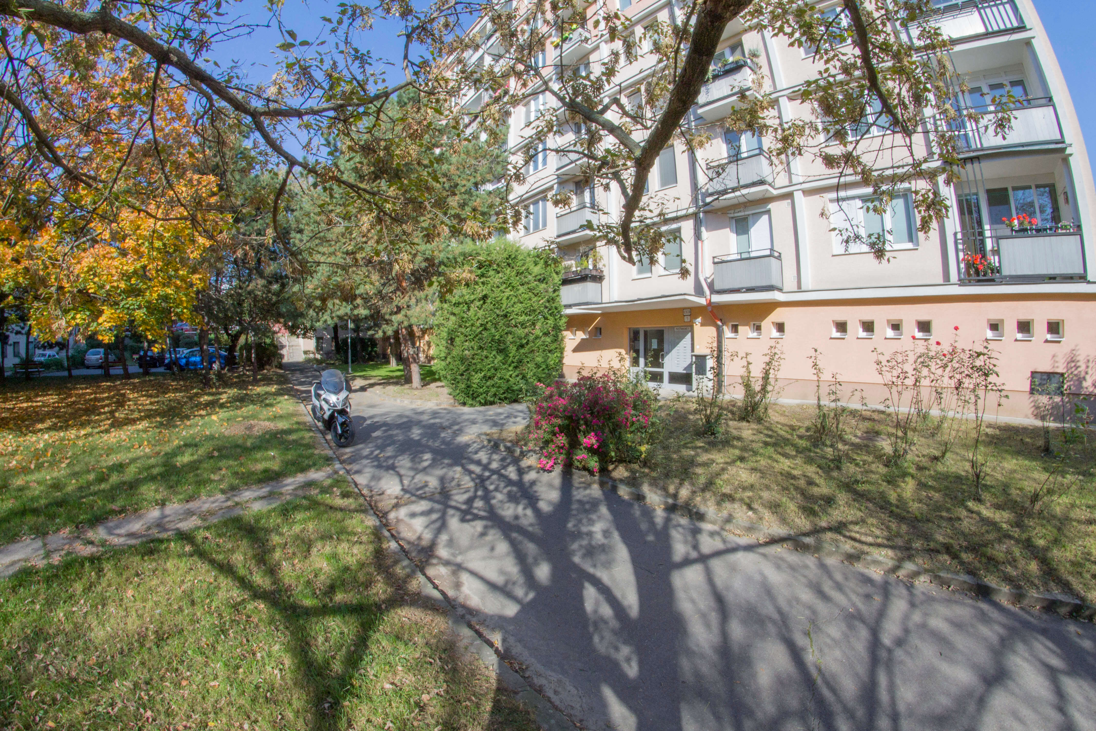 Predané: 3 izbový byt na Piešťanskej ulici-16