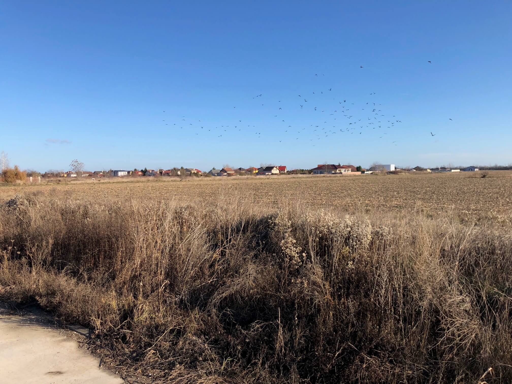 Predané: RD s 2 bytovými jednotkami, Novostavba v Dunajskej Lužnej, 2X: 4 izbový,pozemok 422m2,úžitkova 106m2-24