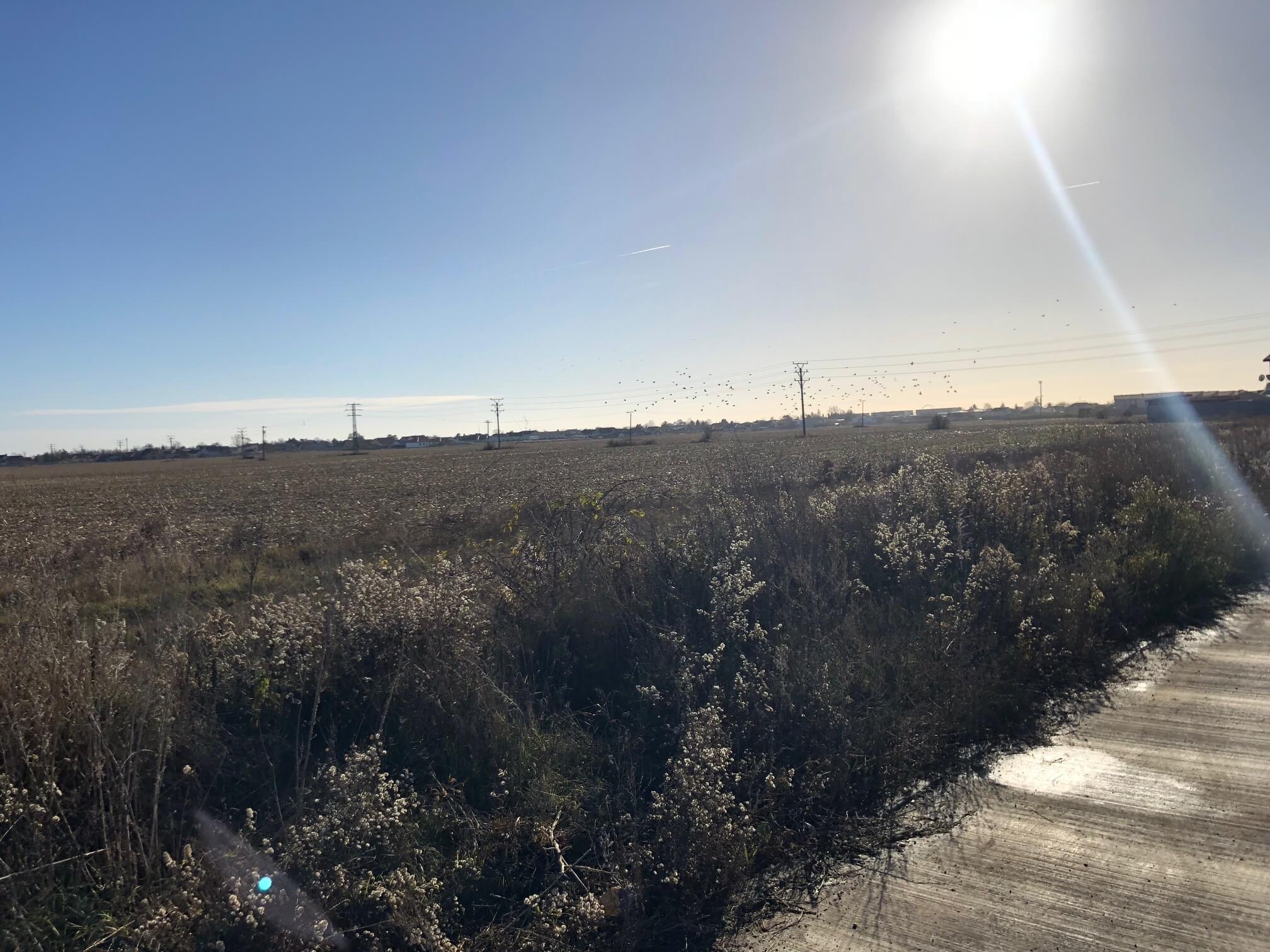 Predané: RD s 2 bytovými jednotkami, Novostavba v Dunajskej Lužnej, 2X: 4 izbový,pozemok 422m2,úžitkova 106m2-22