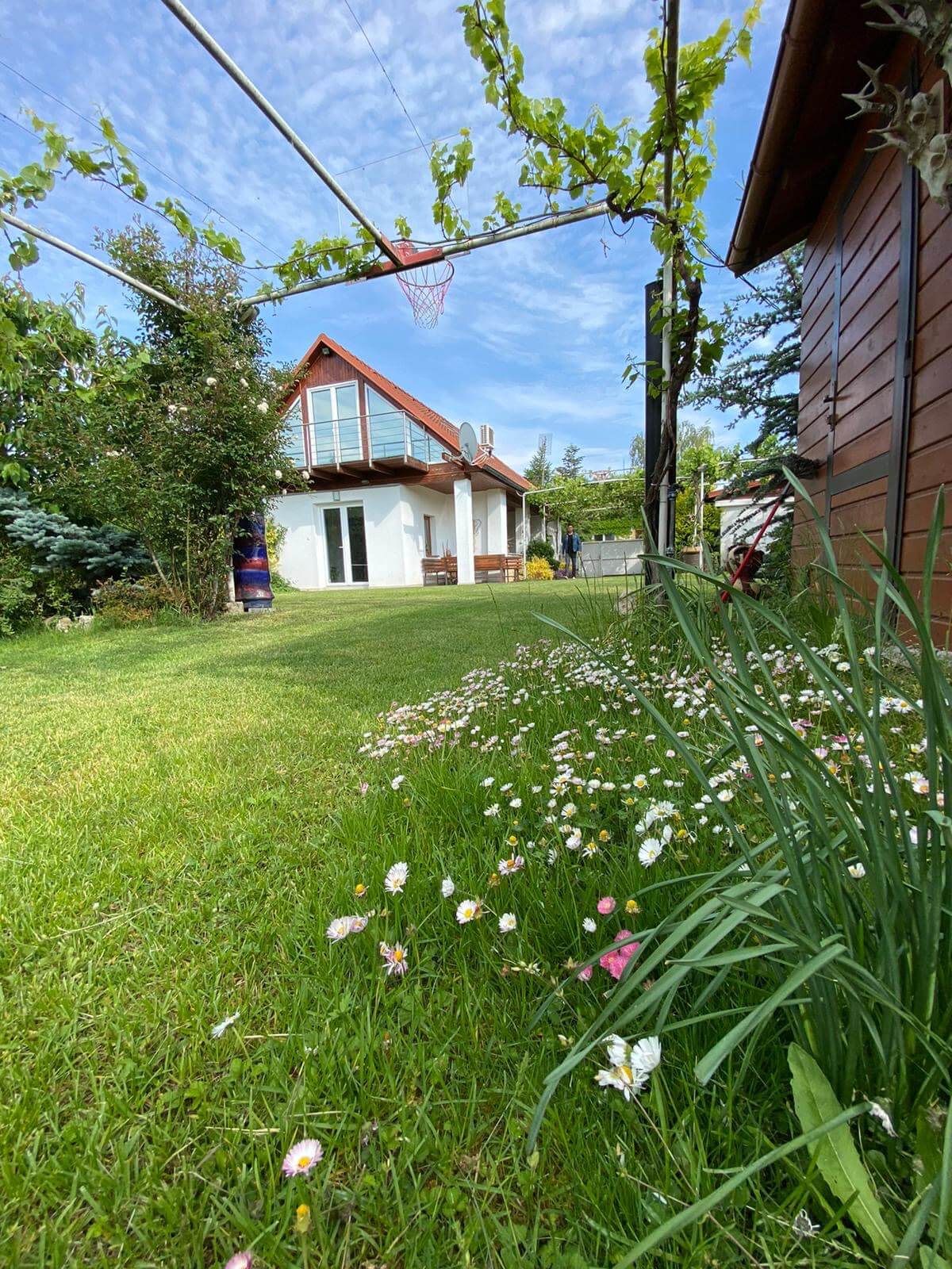 Predané: Predaj Rodinný dom v Šoporni, v tichej lokalite, pozemok 674m2, úžitková plocha 181m2,záhrada, kôlňa-25
