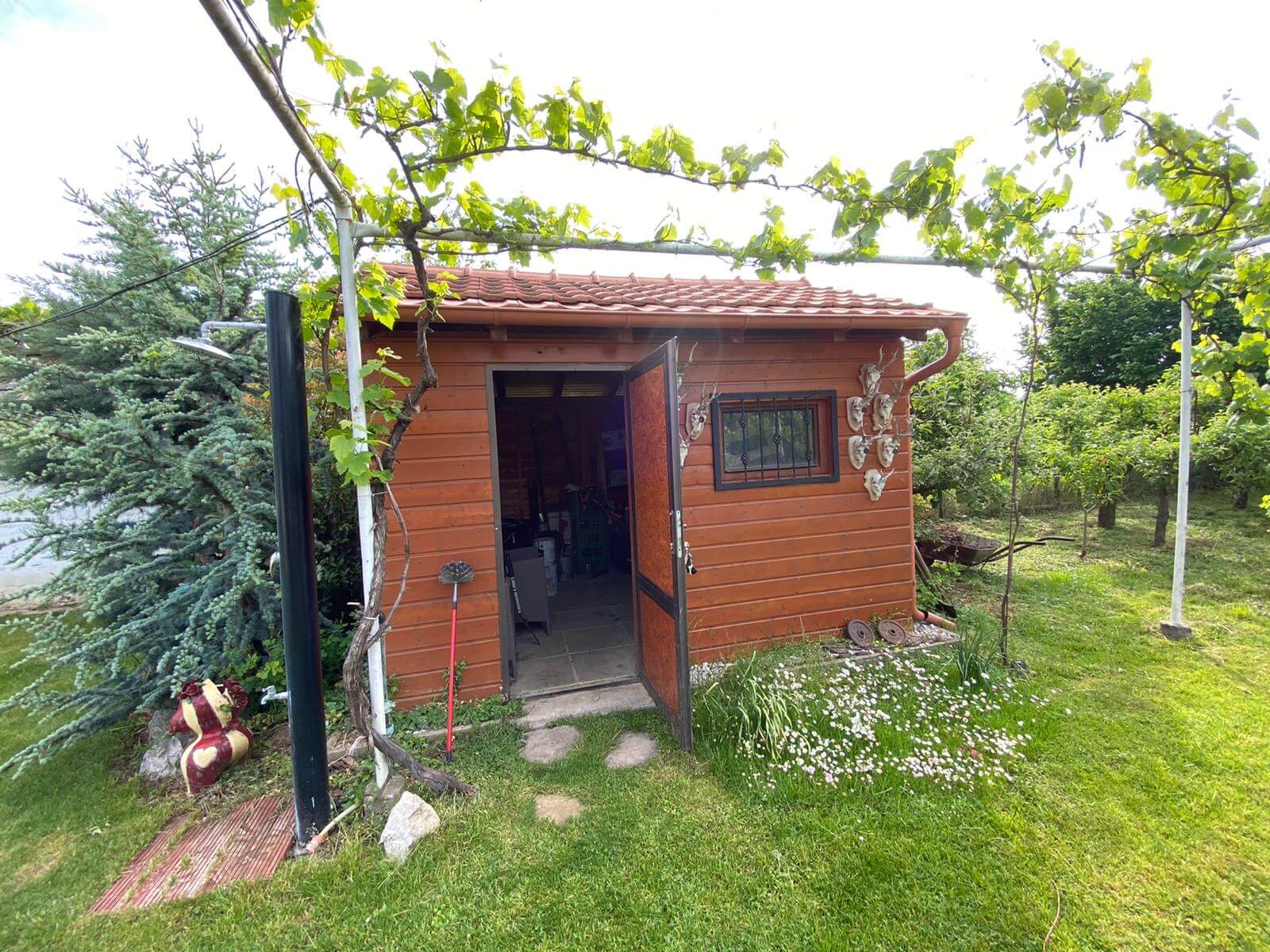 Predané: Predaj Rodinný dom v Šoporni, v tichej lokalite, pozemok 674m2, úžitková plocha 181m2,záhrada, kôlňa-32
