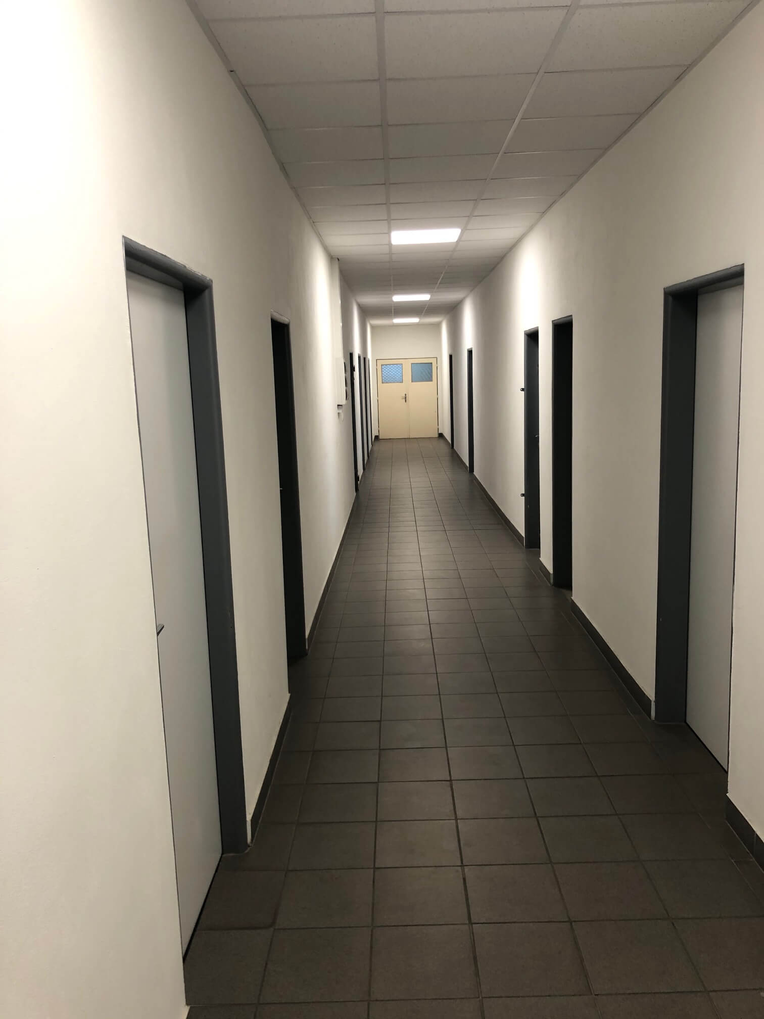 Prenajaté: Skladová, výrobná plocha v hlavnom sklade, 2000m2, ulica Skladová, Trnava-18