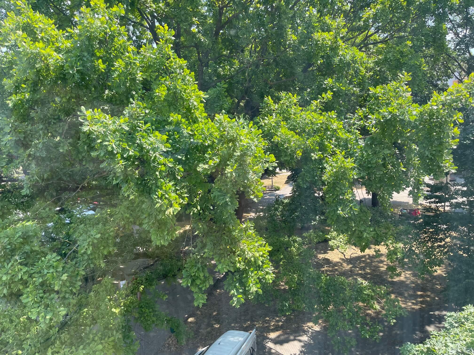 Prenajaté: 4 IZBOVÝ BYT V Šamoríne, centre, 2 POSCHODIE, ÚŽITKOVÁ 145,20M2, BALKÓN 6M2, 2x PARKOVACIE MIESTO,-36