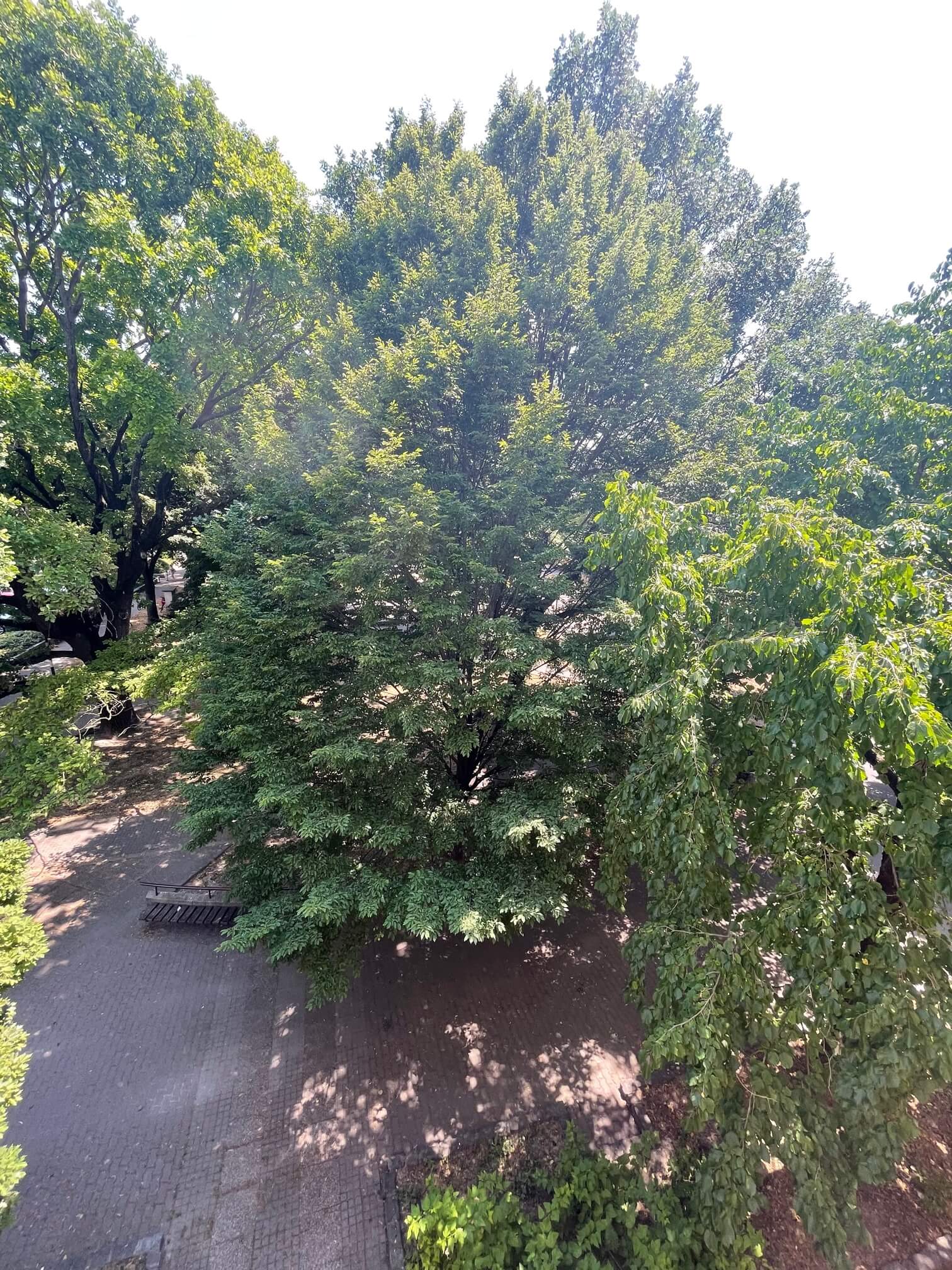 Prenajaté: 4 IZBOVÝ BYT V Šamoríne, centre, 2 POSCHODIE, ÚŽITKOVÁ 145,20M2, BALKÓN 6M2, 2x PARKOVACIE MIESTO,-29