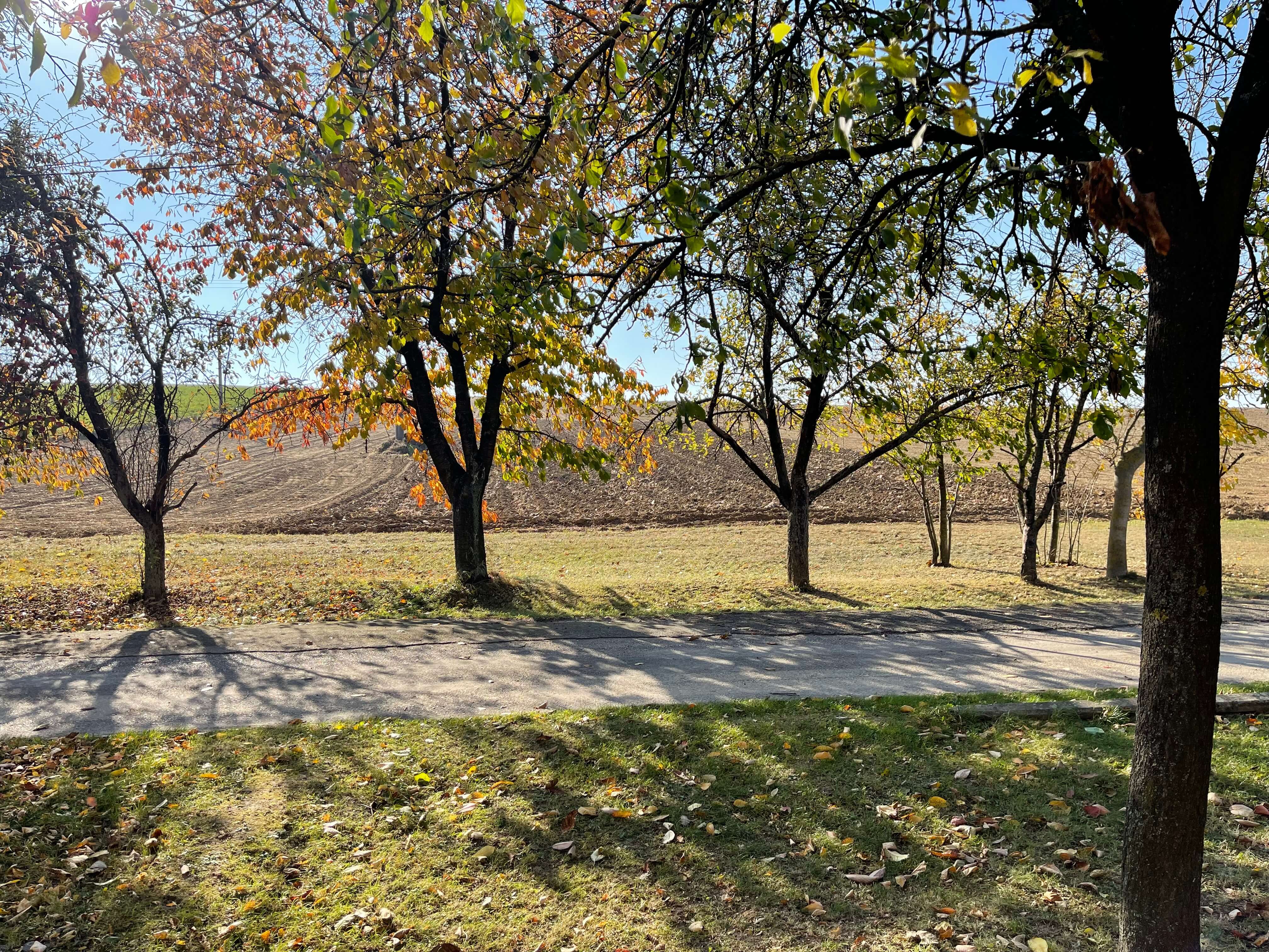 Predané: Exkluzívne na predaj Rodinný dom so záhradou, Hubina, 6km od Piešťan, úžitková 77,76m2, pozemok 619m2-34