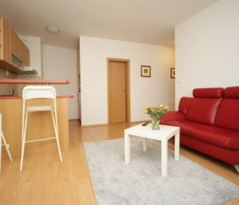 2 izbový byt, úžitková 44,7m2, rok výstavby 2006, zariadený, parkovacie státie, Zádunajská cesta 6, pri Auparku-2