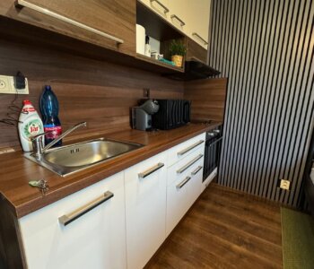 1 izbový byt, úžitková 25,13m2, balkón 4,16m2, parkovacie miesto, kobka, Rača-Na pasekách-2